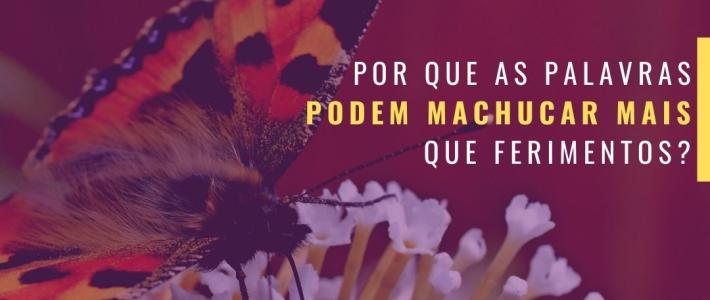 Por que as palavras podem machucar mais que ferimentos ?